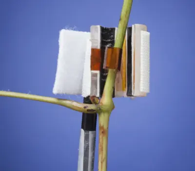 Dynagage Sensor