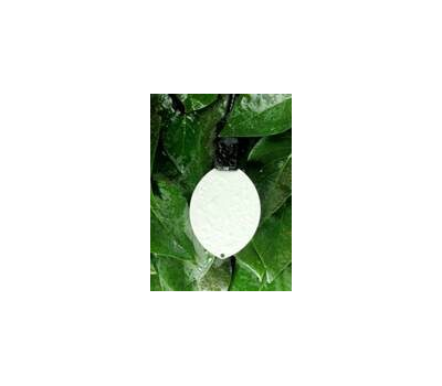 004 PHYTOS 31